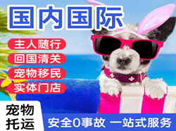 海口美兰空运公司国际宠物托运 【国